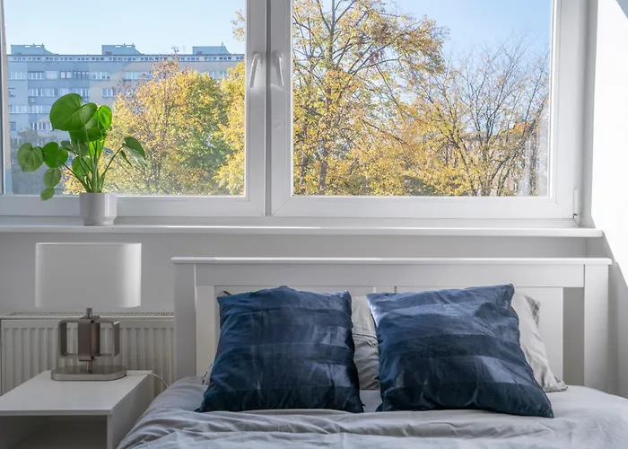 Flower Check In 24h *